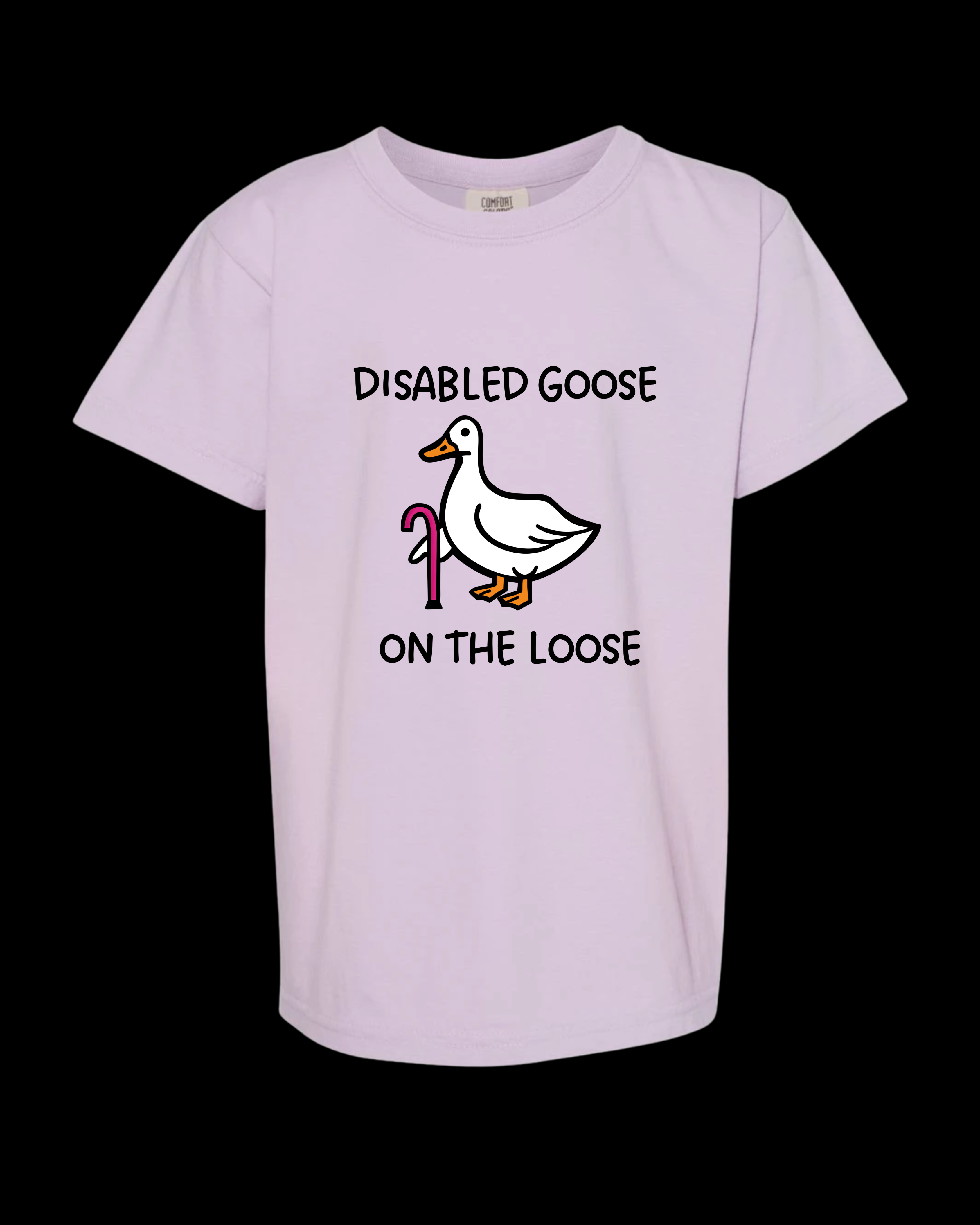 Disabled Goose Purple Vintage Dye T-shirt